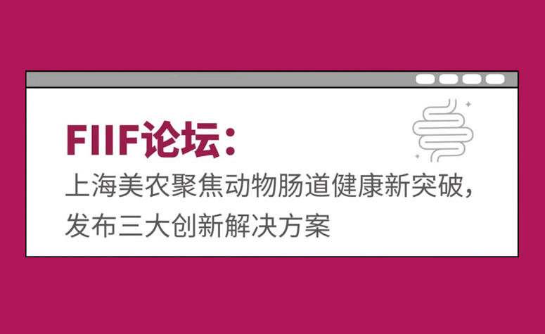 FIIF论坛：上海ng电子游戏聚焦动物肠路健康新突破，颁布三大创新解决规划