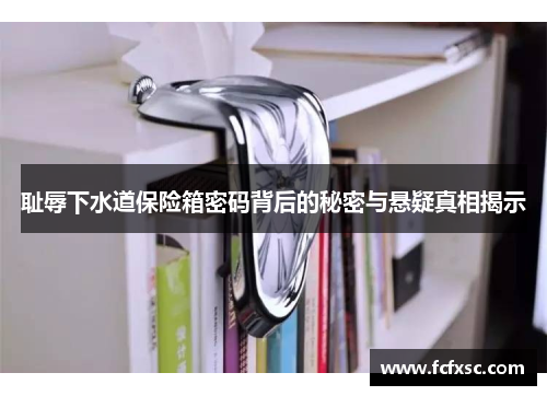 耻辱下水道保险箱密码背后的秘密与悬疑真相揭示